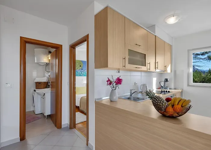 Santric - The Hill *